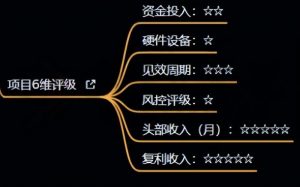 十万个富翁修炼宝典之4.一个大学生操作这个项目，一个月能搞一万-沐风资源库