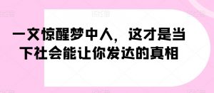 一文惊醒梦中人，这才是当下社会能让你发达的真相【公众号付费文章】-沐风资源库