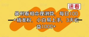 暴利看相命理测算，每日100+精准粉，小白易上手，3天收益1000+【揭秘】-沐风资源库