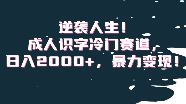 逆袭人生！成人识字冷门赛道，日入2000+，暴力变现！【揭秘】-沐风资源库