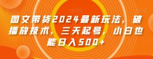 图文带货2024最新玩法，破播放技术，三天起号，小白也能日入500+【揭秘】-沐风资源库
