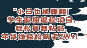 小白也能赚翻！学生假期编程项目，轻松复制粘贴，年货钱轻松到手2W+【揭秘】-沐风资源库