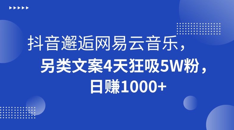 抖音邂逅网易云音乐，另类文案4天狂吸5W粉，日赚1000+【揭秘】-沐风资源库