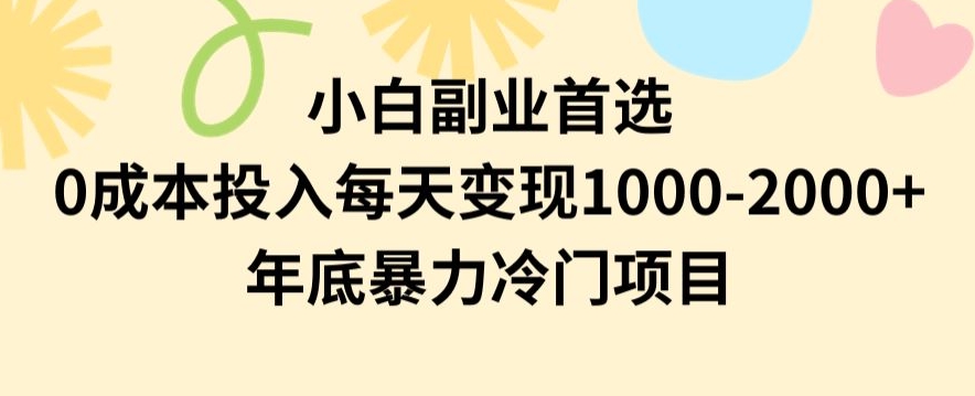 小白副业首选，0成本投入，每天变现1000-2000年底暴力冷门项目【揭秘】-沐风资源库