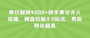 单日利润4000+快手美女无人挂播，网盘拉新3.0玩法，男粉转化超高【揭秘】-沐风资源库