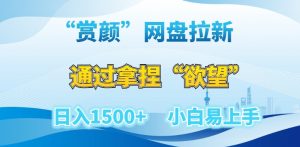 “赏颜”网盘拉新赛道，通过拿捏“欲望”日入1500+，小白易上手【揭秘】-沐风资源库