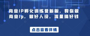 商业IP孵化训练营新版，教你做商业Ip，做好人设，流量搞好钱-沐风资源库