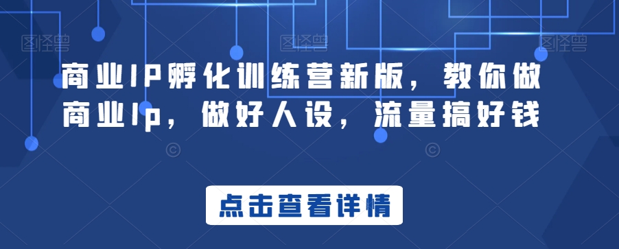 商业IP孵化训练营新版，教你做商业Ip，做好人设，流量搞好钱-沐风资源库