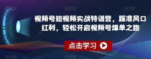 视频号短视频实战特训营，踩准风口红利，轻松开启视频号爆单之路-沐风资源库