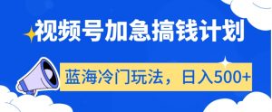 视频号加急搞钱计划，蓝海冷门玩法，日入500+【揭秘】-沐风资源库