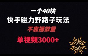 一个40块，快手联合美团磁力新玩法，无视机制野路子玩法，单视频收益4位数【揭秘】-沐风资源库