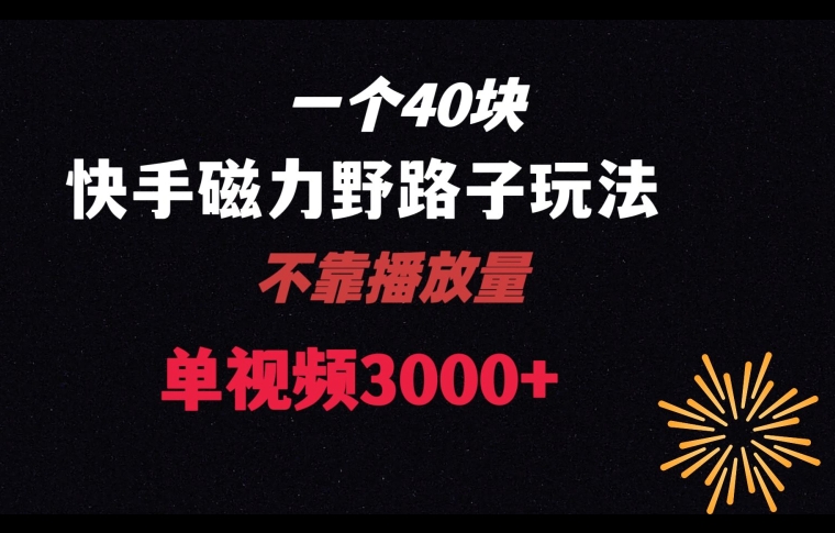 一个40块，快手联合美团磁力新玩法，无视机制野路子玩法，单视频收益4位数【揭秘】-沐风资源库
