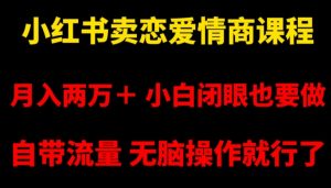 小红书卖恋爱情商课程，月入两万＋，小白闭眼也要做，自带流量，无脑操作就行了【揭秘】-沐风资源库