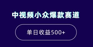 中视频小众爆款赛道，7天涨粉5万+，小白也能无脑操作，轻松月入上万【揭秘】-沐风资源库