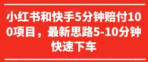 小红书和快手5分钟赔付100项目，最新思路5-10分钟快速下车【仅揭秘】-沐风资源库