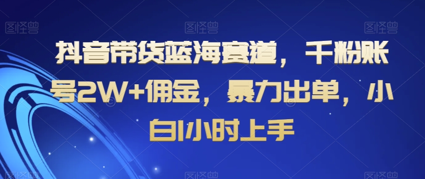 抖音带货蓝海赛道，千粉账号2W+佣金，暴力出单，小白1小时上手【揭秘】-沐风资源库
