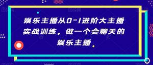 娱乐主播从0-1进阶大主播实战训练，做一个会聊天的娱乐主播-沐风资源库