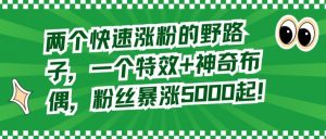 两个快速涨粉的野路子，一个特效+神奇布偶，粉丝暴涨5000起【揭秘】-沐风资源库