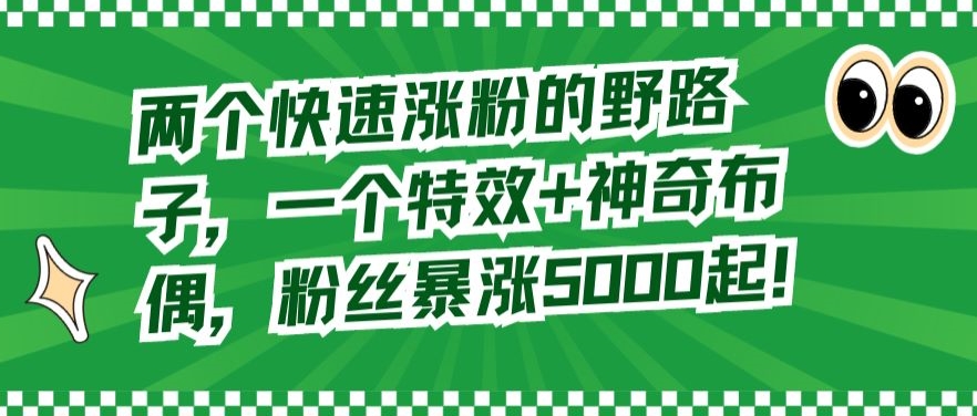 两个快速涨粉的野路子，一个特效+神奇布偶，粉丝暴涨5000起【揭秘】-沐风资源库