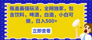 瓶盖最强玩法，全网独家，包含饮料，啤酒，白酒，小白可做，日入500+【揭秘】-沐风资源库