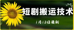 最新短剧搬运技术，电脑手机都可以操作，不限制机型-沐风资源库