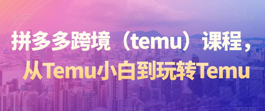 拼多多跨境（temu）课程，从Temu小白到玩转Temu-沐风资源库