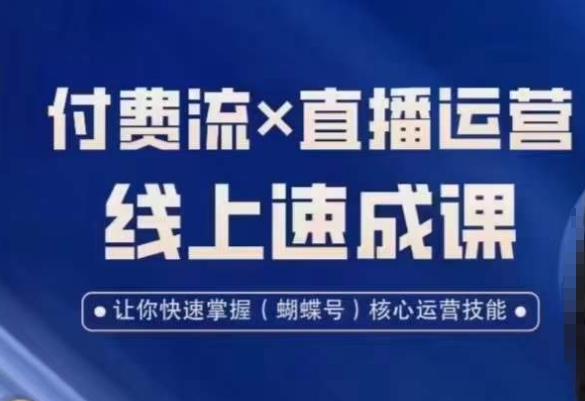 视频号付费流实操课程，付费流✖️直播运营速成课，让你快速掌握视频号核心运营技能-沐风资源库