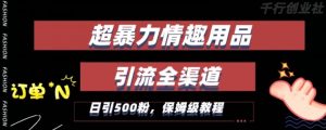 最新情趣项目引流全渠道，自带高流量，保姆级教程，轻松破百单，日引500+粉【揭秘】-沐风资源库