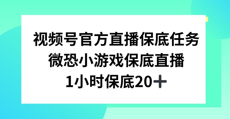 视频号直播任务，微恐小游戏，1小时20+【揭秘】-沐风资源库