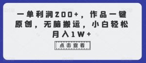 一单利润200+，作品一键原创，无脑搬运，小白轻松月入1W+【揭秘】-沐风资源库