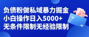 负债粉私域暴力掘金，小白操作入5000，无经验限制，无条件限制【揭秘】-沐风资源库