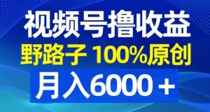 视频号野路子撸收益，100%原创，条条爆款，月入6000＋【揭秘】-沐风资源库