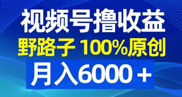 视频号野路子撸收益，100%原创，条条爆款，月入6000＋【揭秘】-沐风资源库