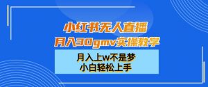 小红书无人直播月入30gmv实操教学，月入上w不是梦，小白轻松上手【揭秘】-沐风资源库