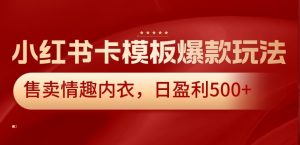 小红书卡模板爆款玩法，售卖情趣内衣，日盈利500+【揭秘】-沐风资源库