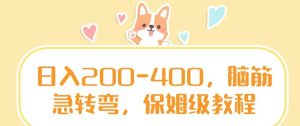 日入200-400，脑筋急转弯，保姆级教程【揭秘】-沐风资源库