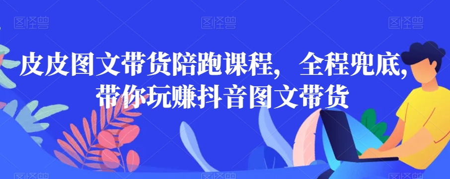 皮皮图文带货陪跑课程，全程兜底，带你玩赚抖音图文带货-沐风资源库