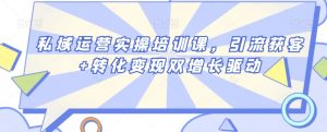 私域运营实操培训课，引流获客+转化变现双增长驱动-沐风资源库