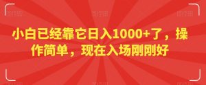 小白已经靠它日入1000+了，操作简单，现在入场刚刚好【揭秘】-沐风资源库