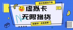虚拟卡无限撸货，百分百成功下车【仅揭秘】-沐风资源库