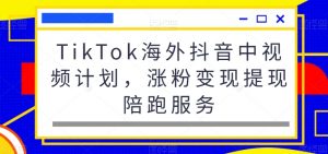 TikTok海外抖音中视频计划，涨粉变现提现陪跑服务-沐风资源库