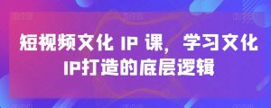 短视频文化IP课，学习文化IP打造的底层逻辑-沐风资源库