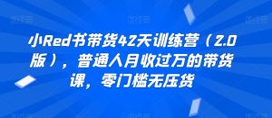 小Red书带货42天训练营（2.0版），普通人月收过万的带货课，零门槛无压货-沐风资源库