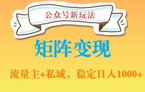 公众号软件玩法私域引流网盘拉新，多种变现，稳定日入1000【揭秘】-沐风资源库