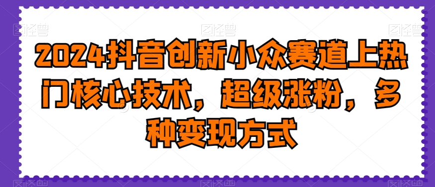 2024抖音创新小众赛道上热门核心技术，超级涨粉，多种变现方式【揭秘】-沐风资源库