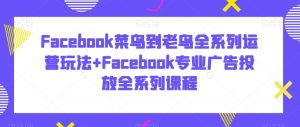 Facebook菜鸟到老鸟全系列运营玩法+Facebook专业广告投放全系列课程-沐风资源库