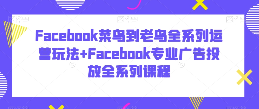 Facebook菜鸟到老鸟全系列运营玩法+Facebook专业广告投放全系列课程-沐风资源库