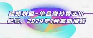 臻曦联盟-单品微付费正价起号，2024年1月最新课程-沐风资源库