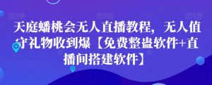 天庭蟠桃会无人直播教程，无人值守礼物收到爆【免费整蛊软件+直播间搭建软件】-沐风资源库