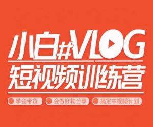 小呆说视–小白VLOG短视频训练营，学会带货、好物、直播、中视频-沐风资源库